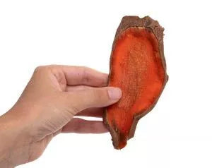 Vegetarian Dog Treats Made in USA