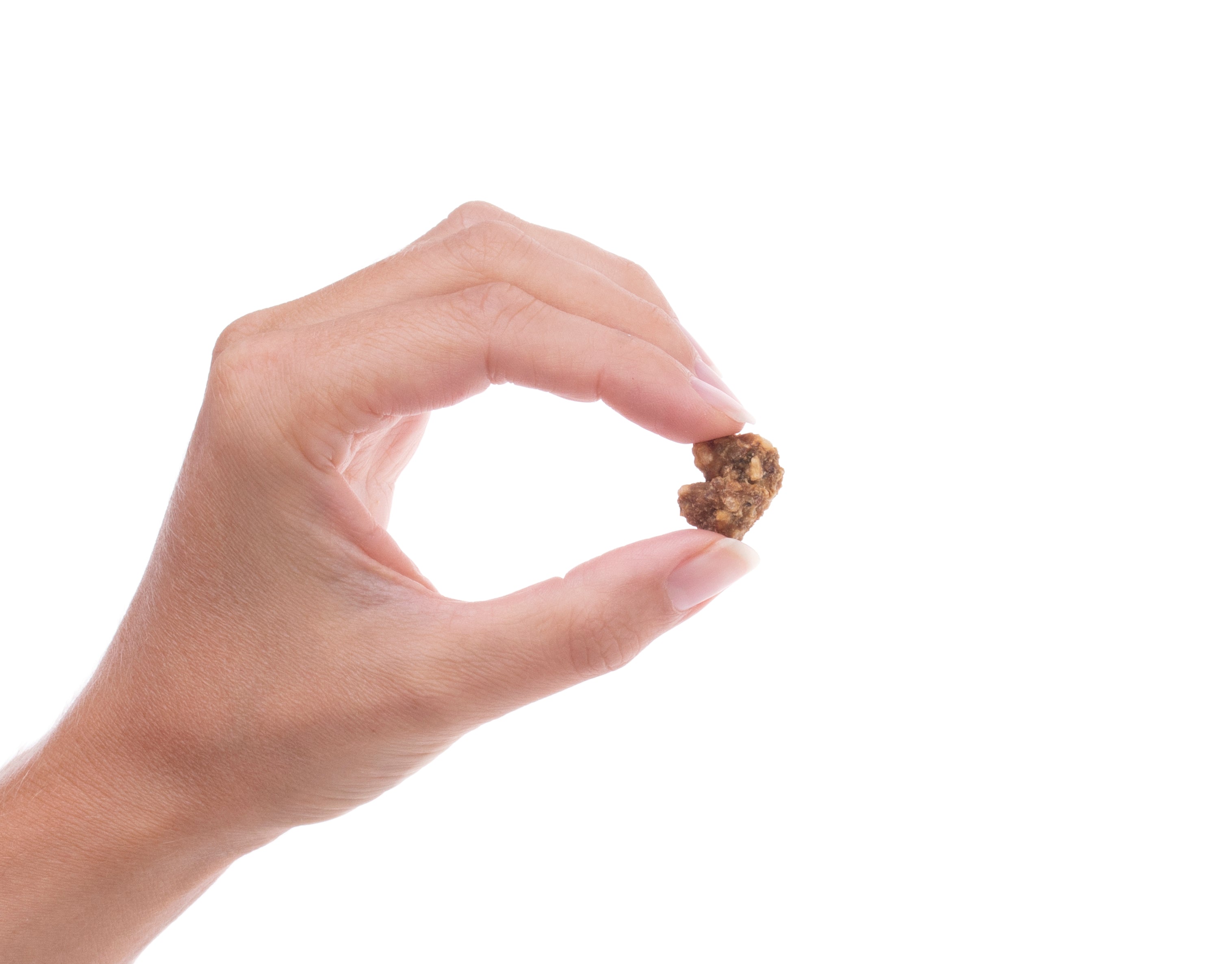 Dark Meat Chicken Meatballs — all-natural dog treats made in the USA by Preen Pets