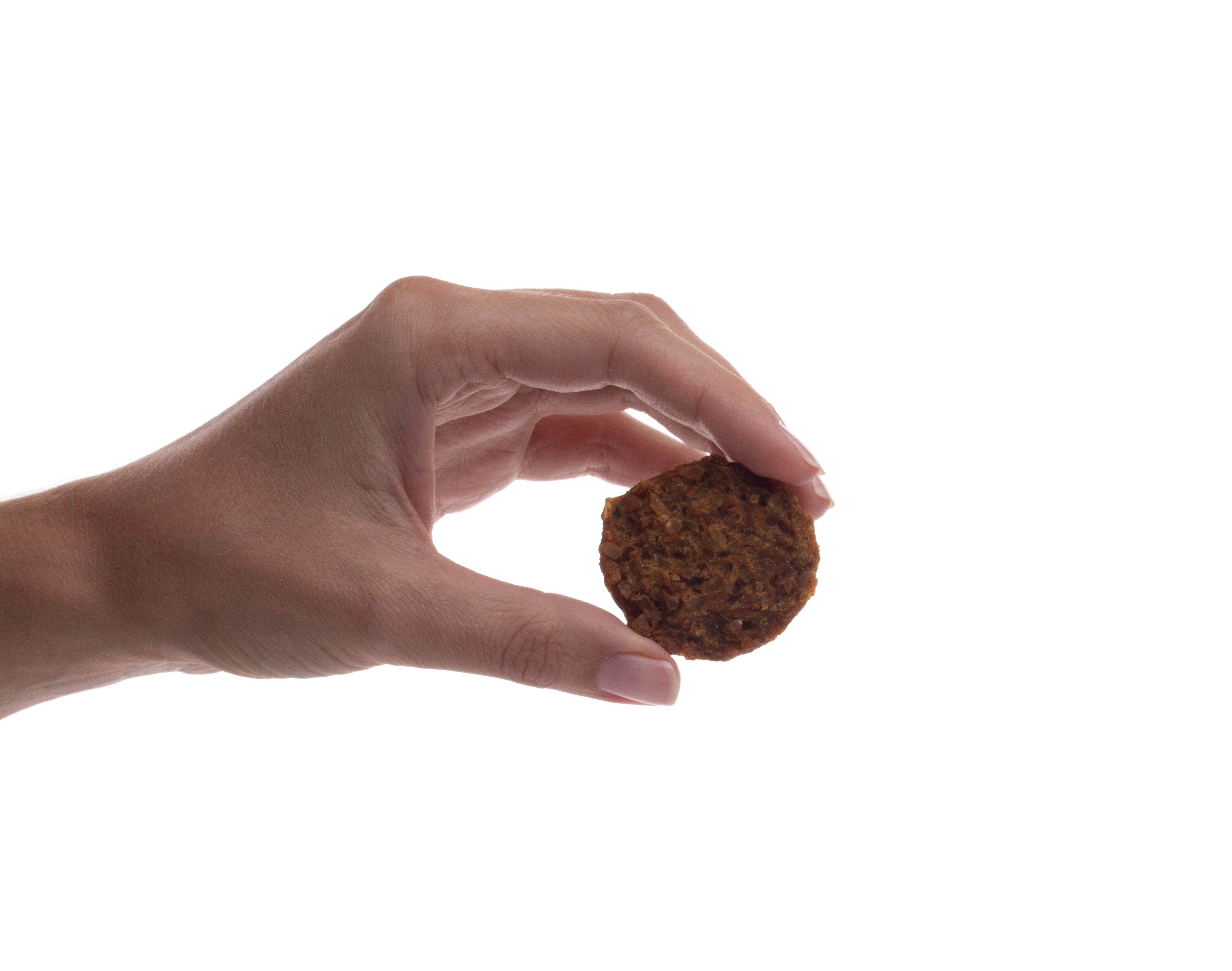 Beef & Sweet Potato Burger — all-natural dog treats made in the USA by Preen Pets