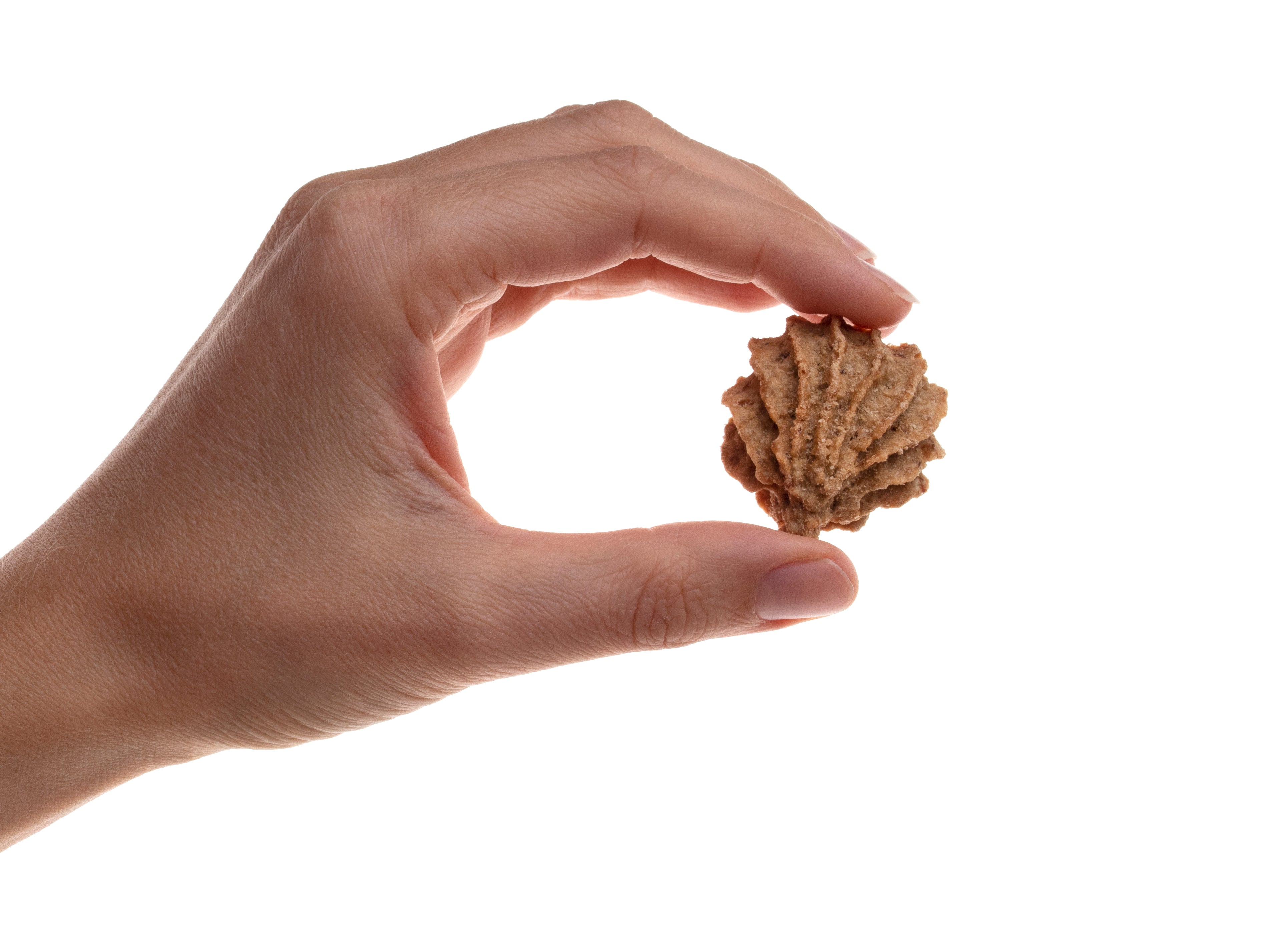 Beef & Apple Cookies — all-natural dog treats made in the USA by Preen Pets