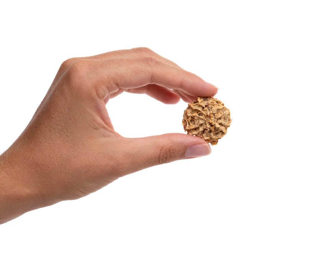 Chicken & Sweet Potato Cookies — all-natural dog treats made in the USA by Preen Pets