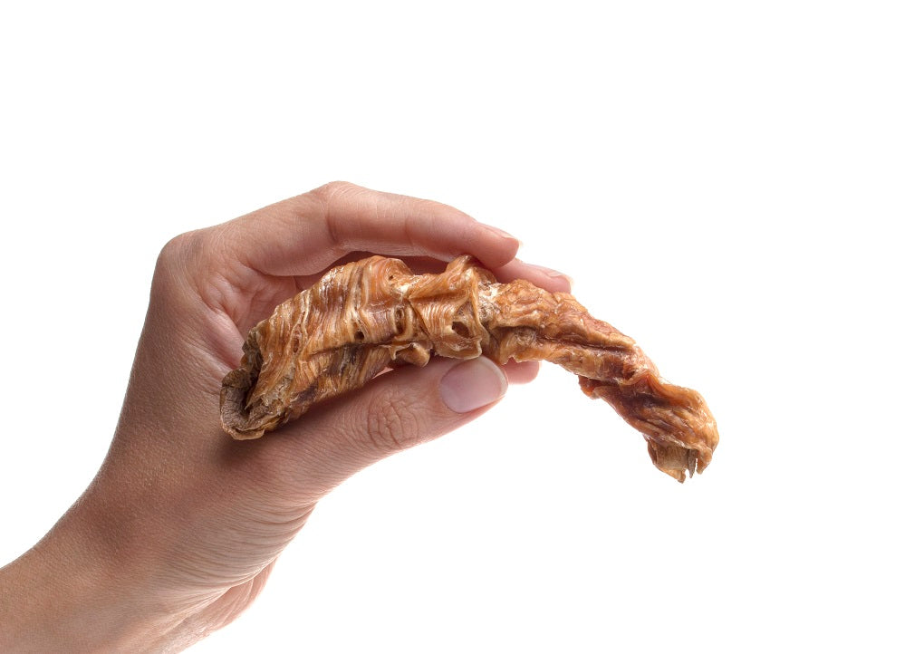 Chicken & Butternut Squash Twists — all-natural dog treats made in the USA by Preen Pets