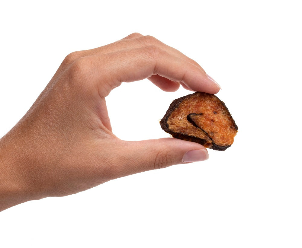Salmon Sushi — all-natural dog treats made in the USA by Preen Pets